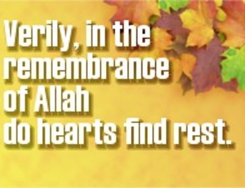 15 Motivational Verses from the Quran